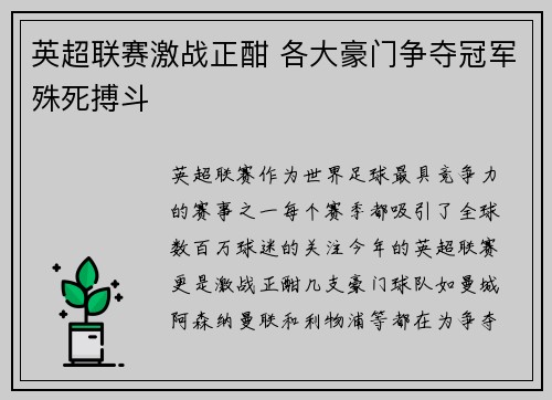 英超联赛激战正酣 各大豪门争夺冠军殊死搏斗